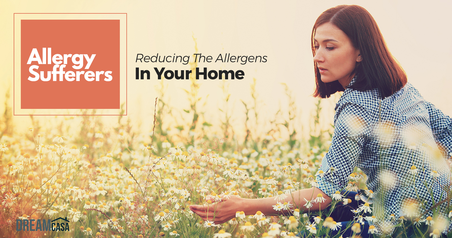 remove allergens home